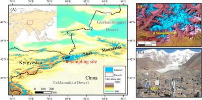 Physicochemical Impacts of Dust Storms on Aerosol and Glacier Meltwater on the Northern Margin of the Taklimakan Desert